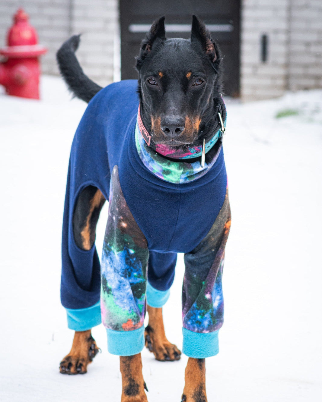 Cowboy wearing a blue sweater with colorful pants in a snowy setting