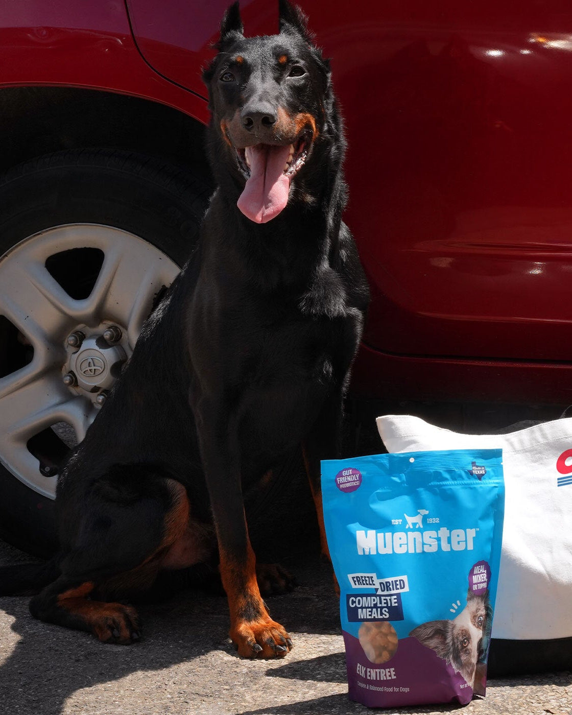 Cowboy sitting by a car with Muenster and a Costco bag