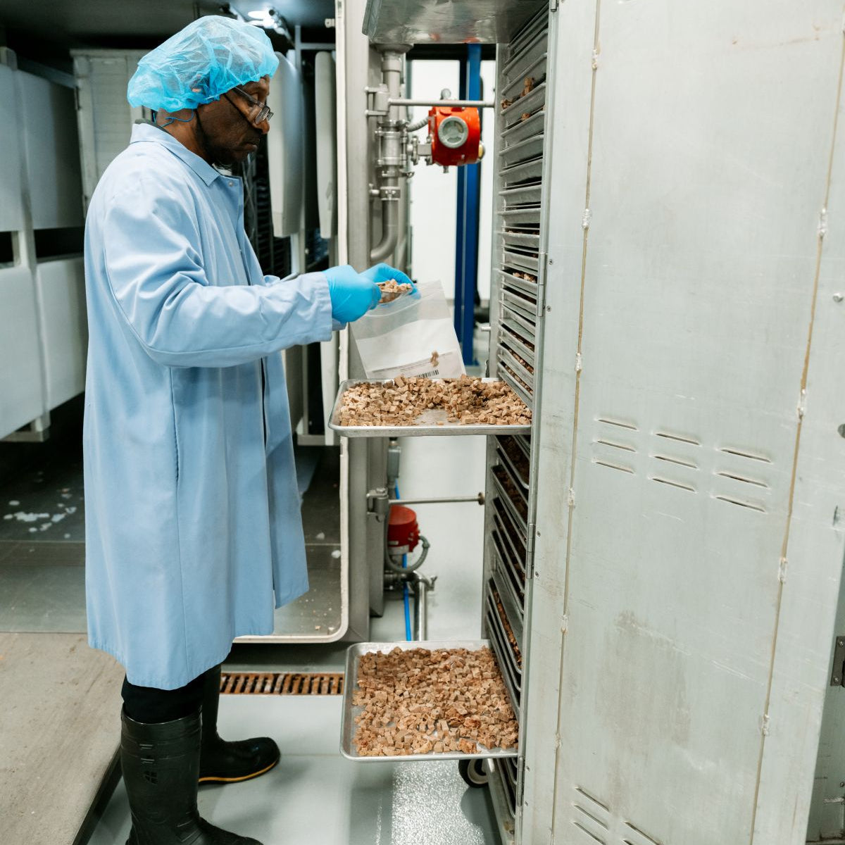Muenster Pet team member taking product samples from a freeze-dryer