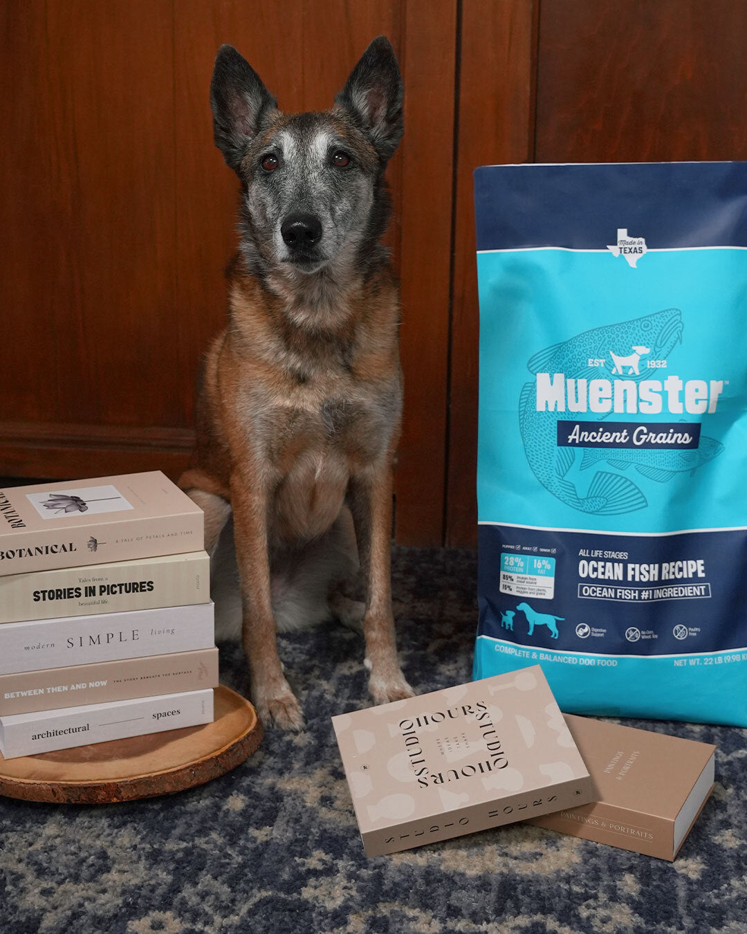 Belgian Malinois with books and a bag of Muenster Ancient Grains Ocean Fish Recipe dog food