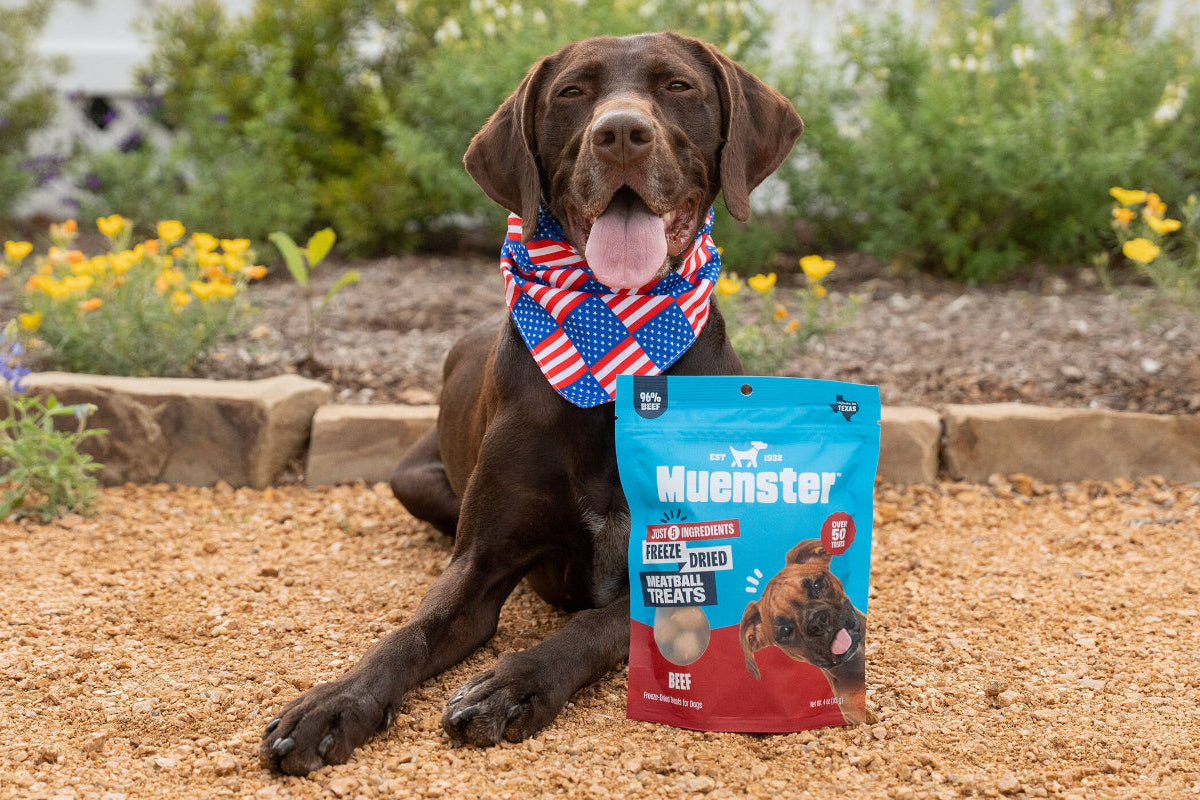 Dog wearing a patriotic bandana with a package of Muenster dog treats in front of a garden.