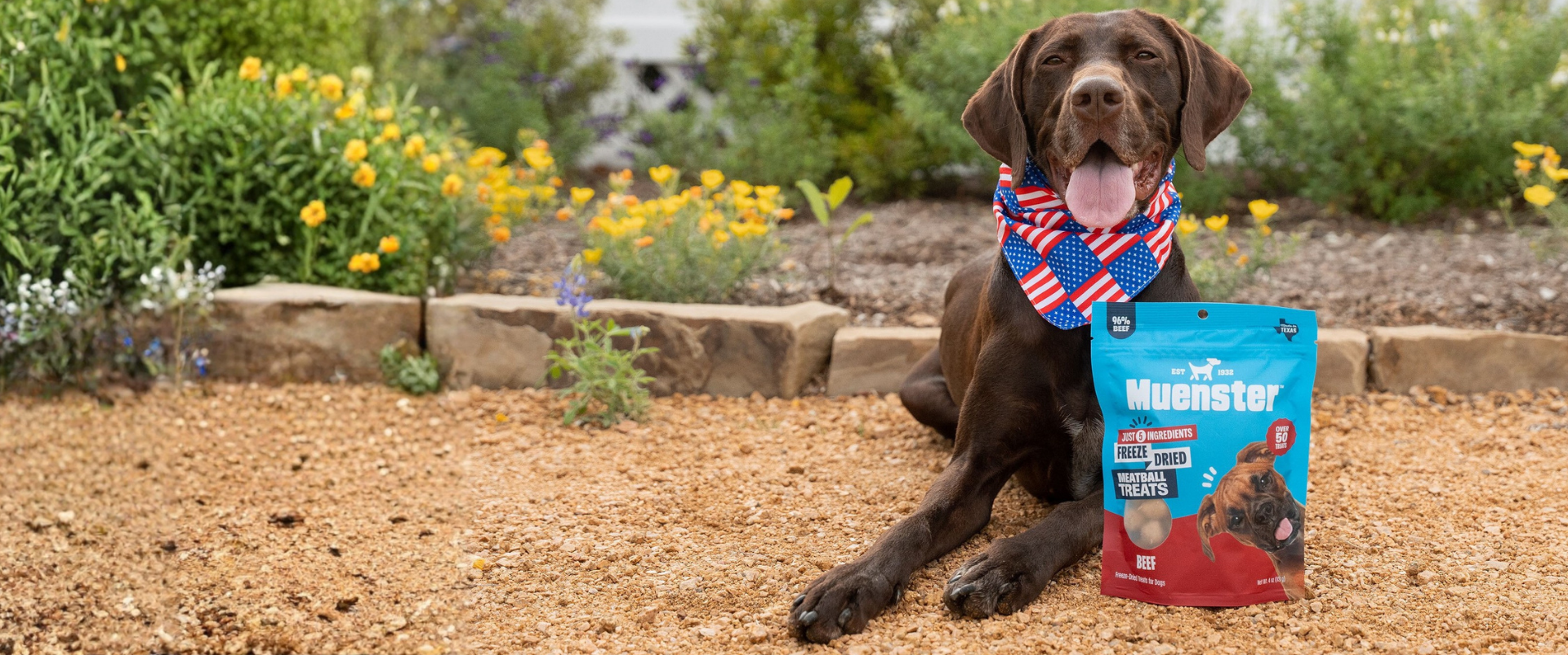 Dog wearing a patriotic bandana with a package of Muenster dog treats in front of a garden.