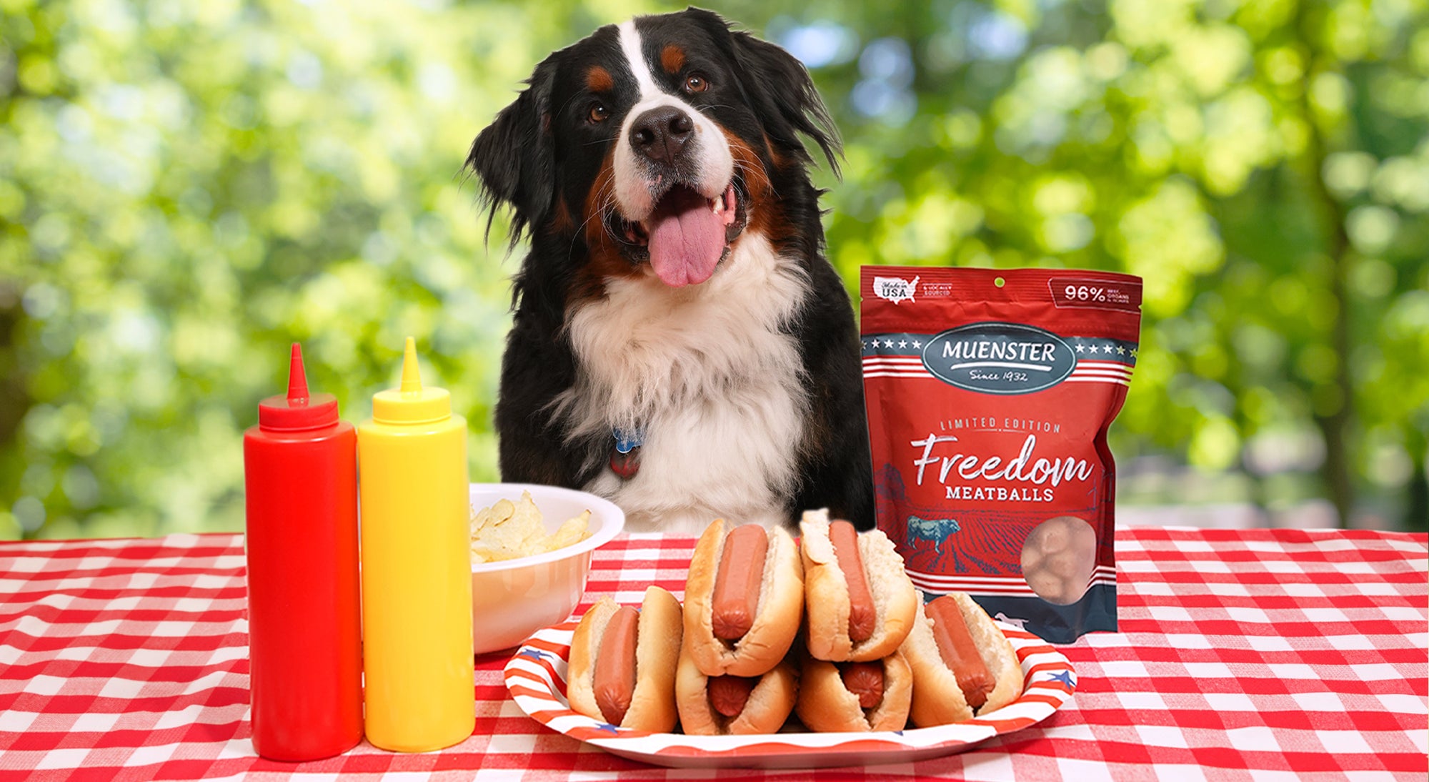 dog with hotdogs at a picnic