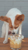 How to make a pup-kin spice latte! 