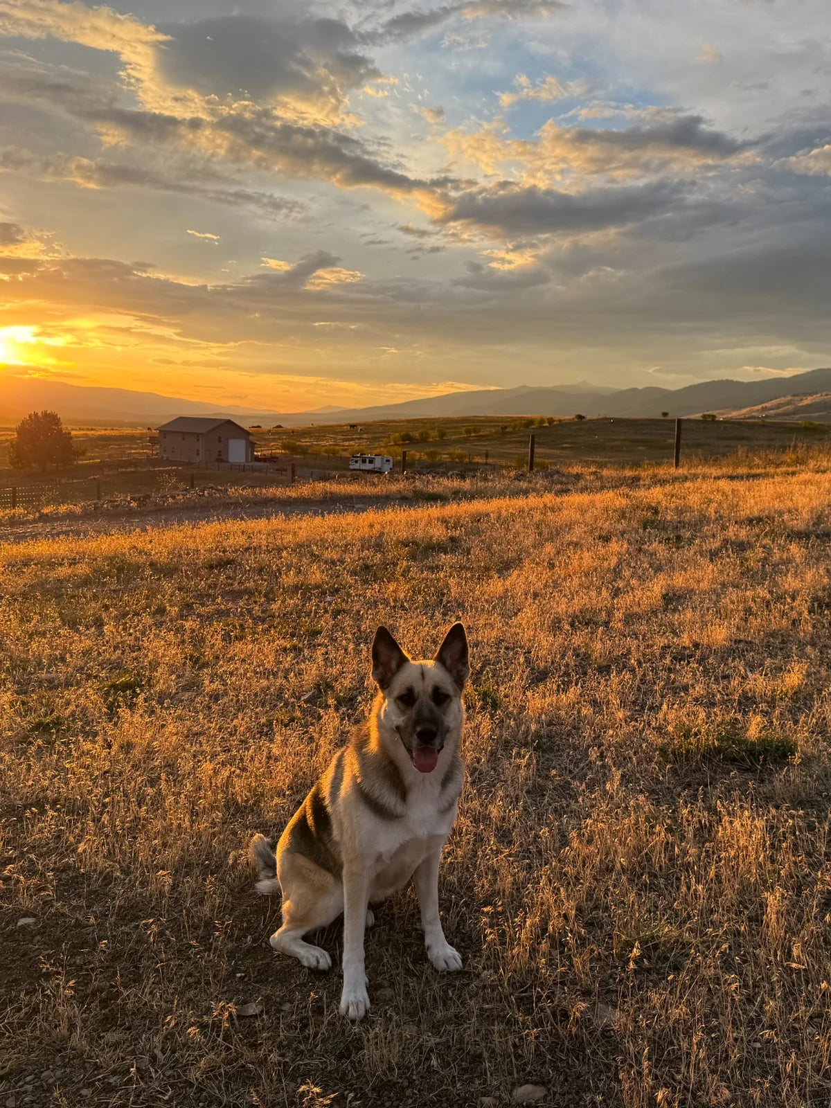 Zoey