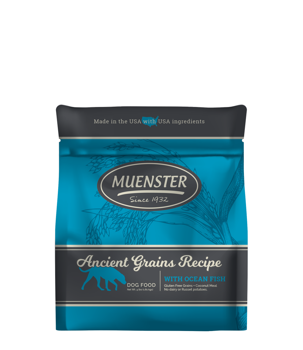 Muenster Ancient Grains Recipe with Ocean Fish Dog Food